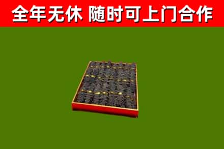 江城区回收海参